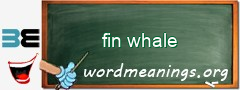 WordMeaning blackboard for fin whale